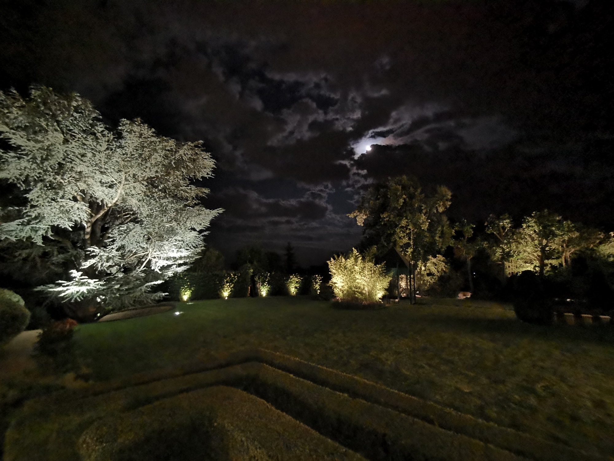 Nächtlich beleuchteter Garten mit angestrahlten Bäumen und Gräsern unter wolkigem Mondhimmel