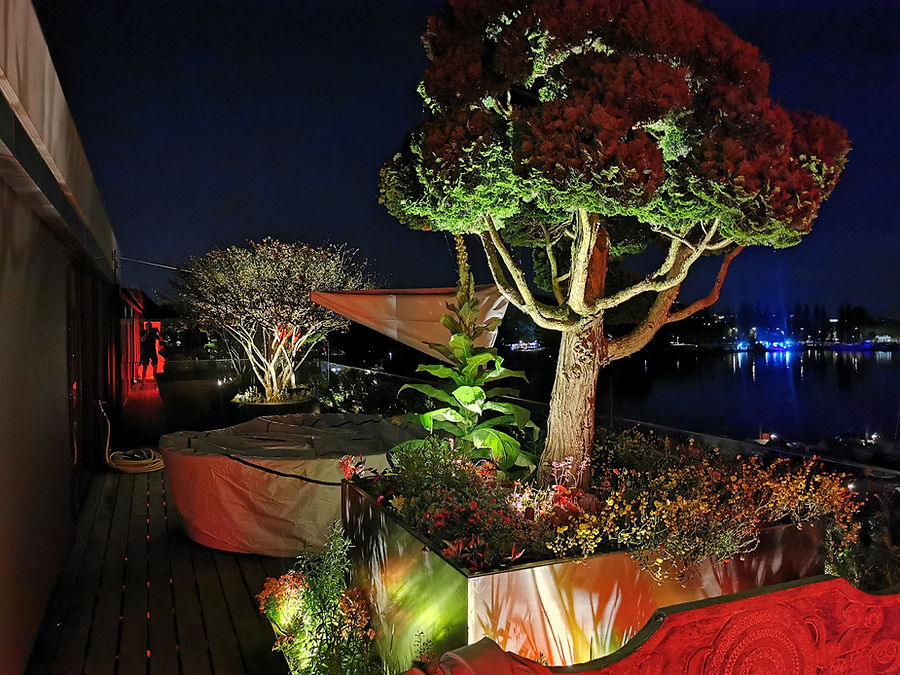 Dachterrasse mit Seeblick: angestrahlter Baum und beleuchtete Hochbeete bei Nacht
