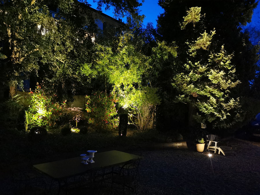 Von unten beleuchtete Bäume und Sträucher hinter einem Gartensitzplatz zur blauen Stunde