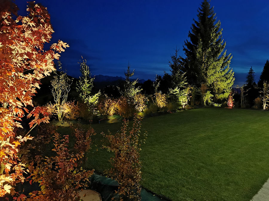 Herbstlicher Garten mit angestrahltem Ahorn und Nadelbäumen vor Bergkulisse in der Dämmerung