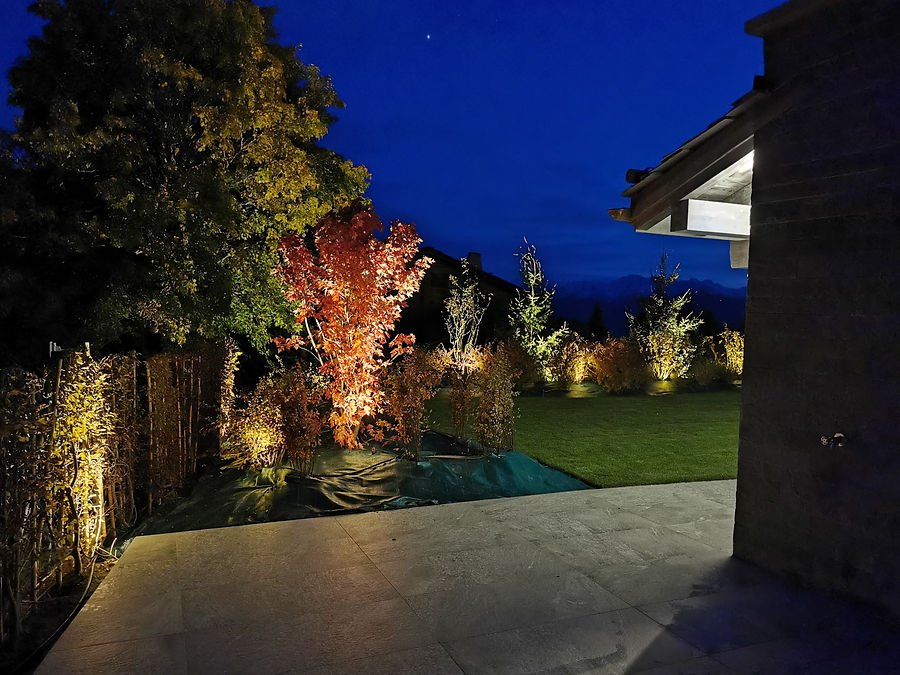 Blick von der Terrasse auf einen leuchtend roten Ahorn und beleuchtete Gartenbeete
