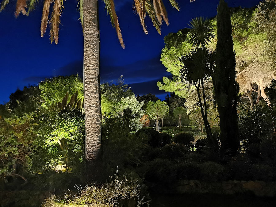 Mediterraner Garten mit angestrahlten Palmen, Zypressen und Pinien zur blauen Stunde