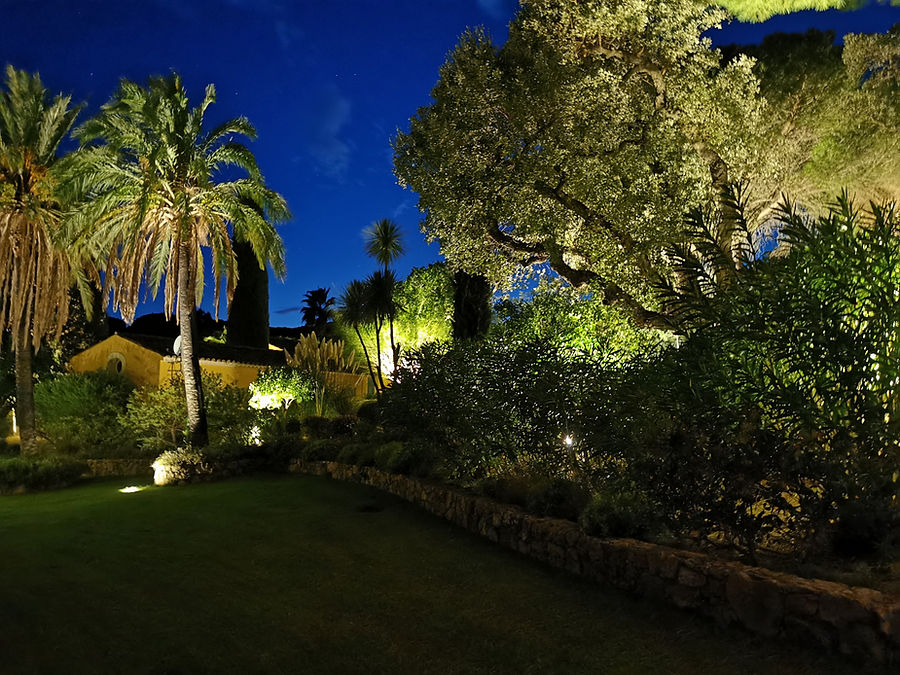 Garten mit beleuchteten Palmen, Natursteinmauer und Rasenfläche zur blauen Stunde